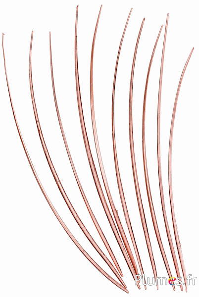 Gans schacht - 25-30 cm - brons